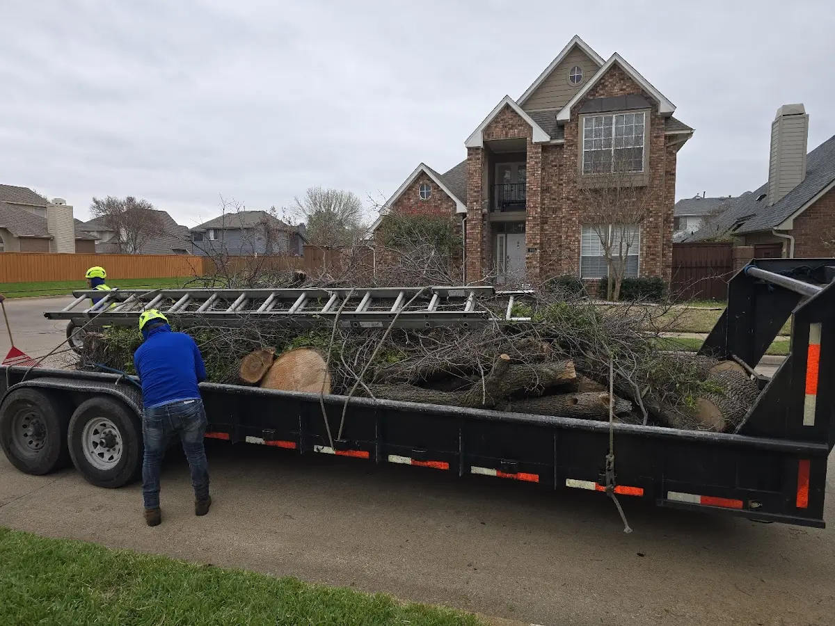 Expert Tree Pest Control with proper safety equipment in Nemours